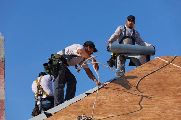 Best Storm Damage Roof Repair  in Telluride, CO