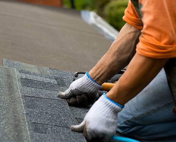 Professional Roofing Contractor in Telluride, CO